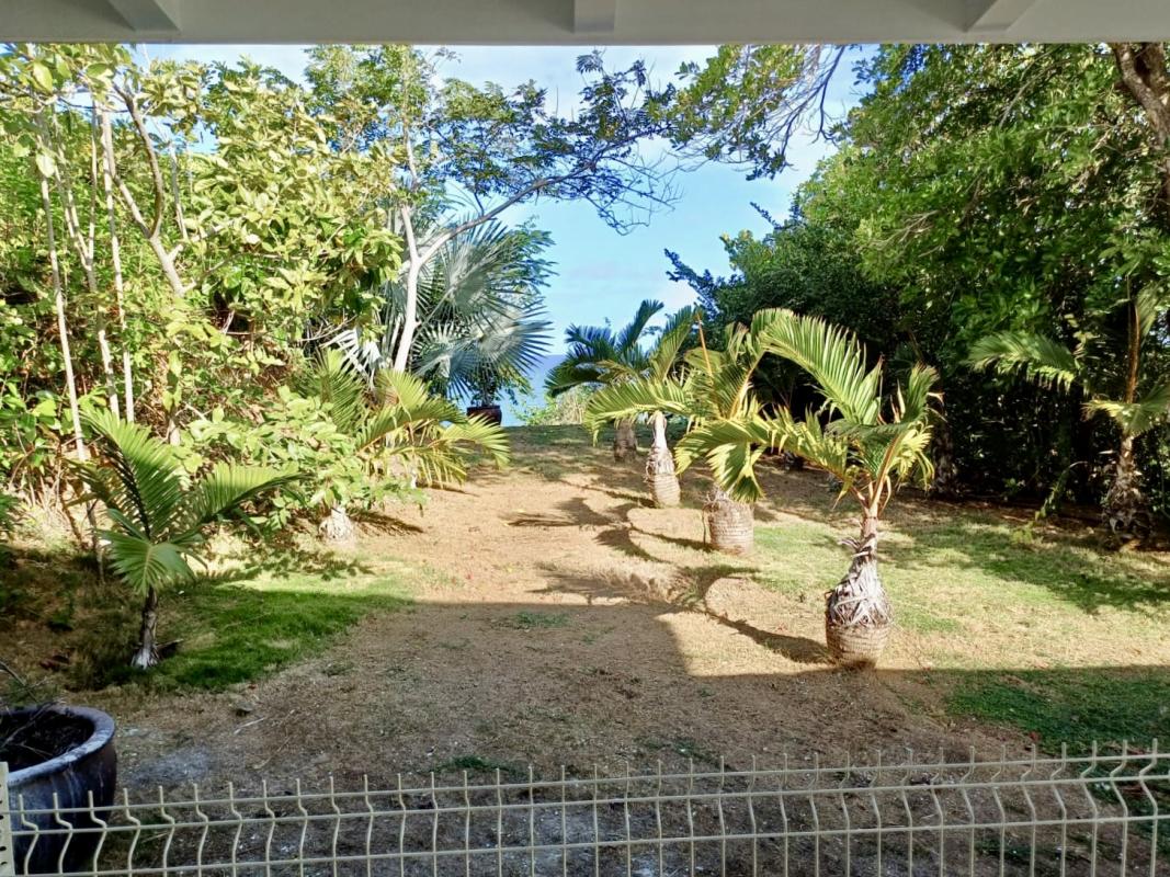 Location Villa tartane - jardin2